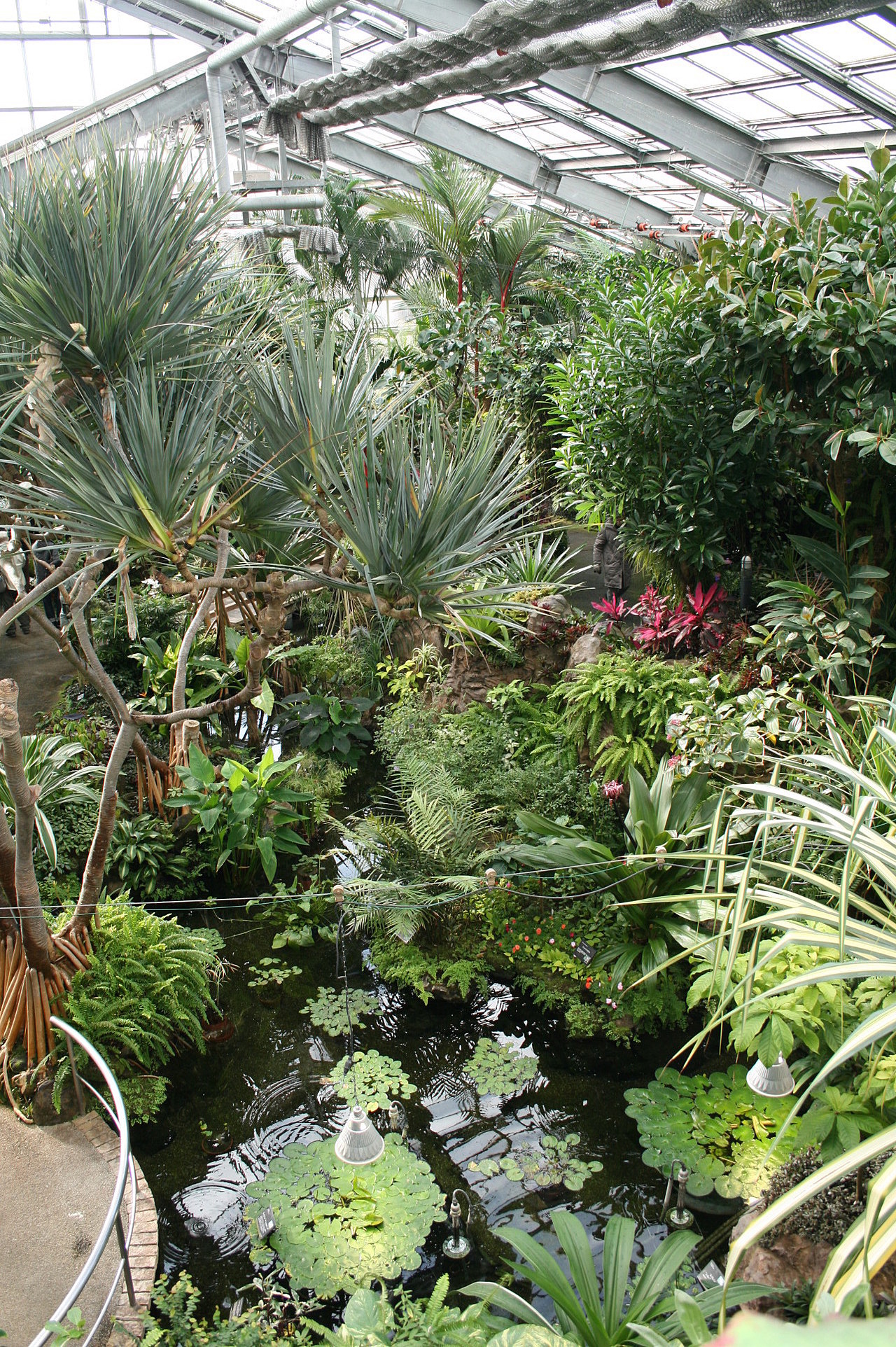 宇治市植物公園の全貌！見どころ・料金・温室から混雑回避まで完全解説