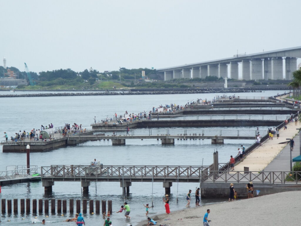 新居弁天海釣公園で今何が釣れる？2026年最新釣果とT字堤の攻略法