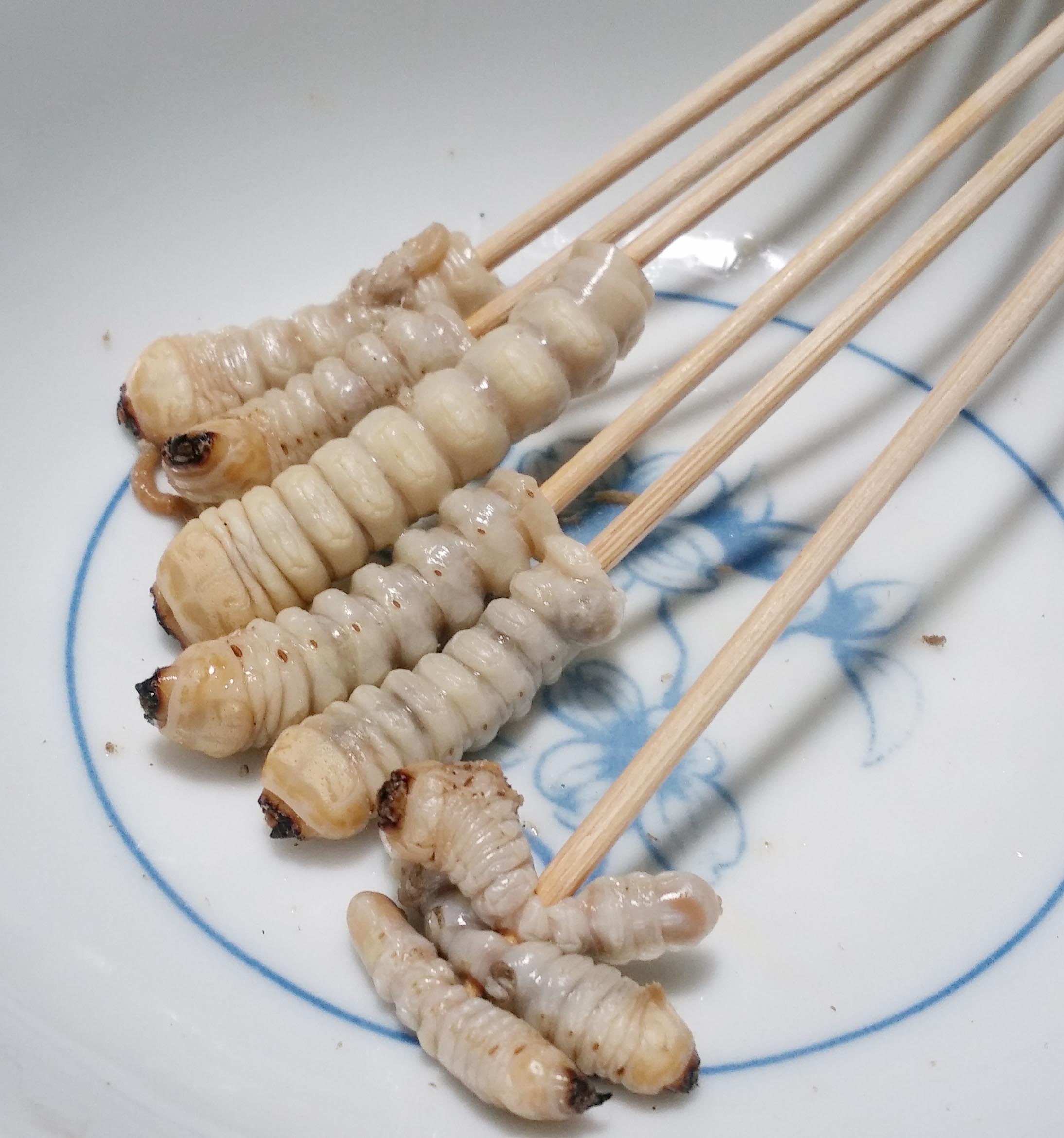 カミキリムシを食べる真相！「昆虫界のトロ」の味と毒性・調理法を徹底解説