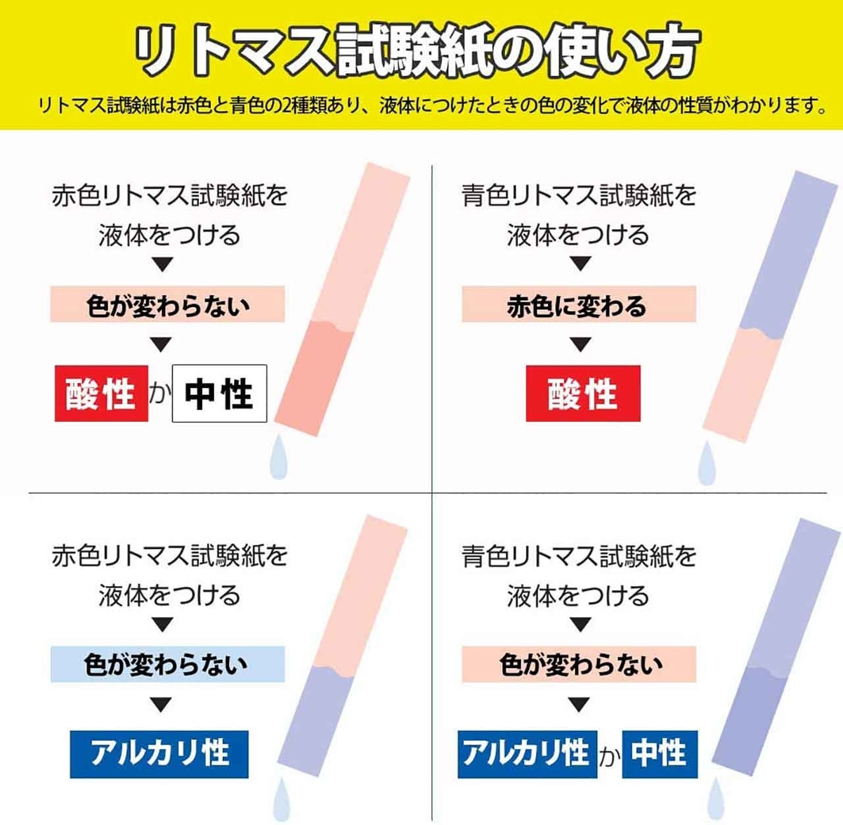 リトマス紙の覚え方を徹底解剖！テストで迷わない最強の語呂合わせ