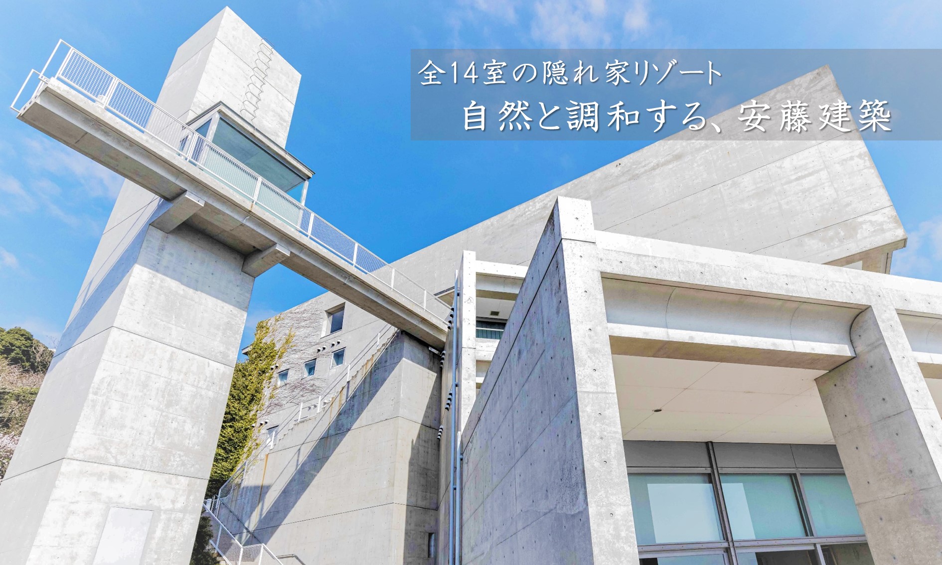 Totoシーウィンド淡路の魅力と評判｜安藤忠雄建築の絶景宿を徹底解剖