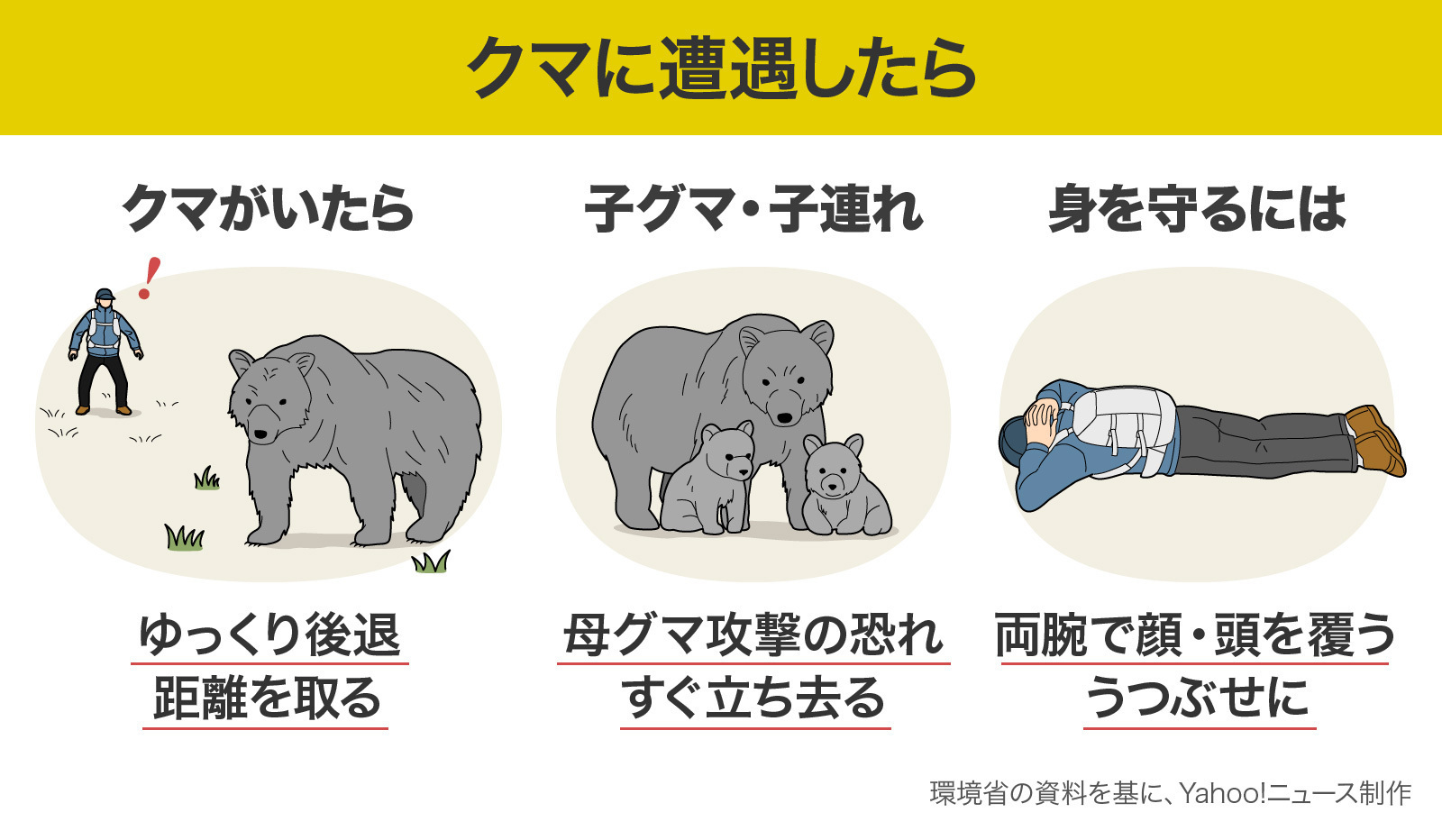 熊に出会ったらどうする？生死を分ける距離別対処法と撃退の真実