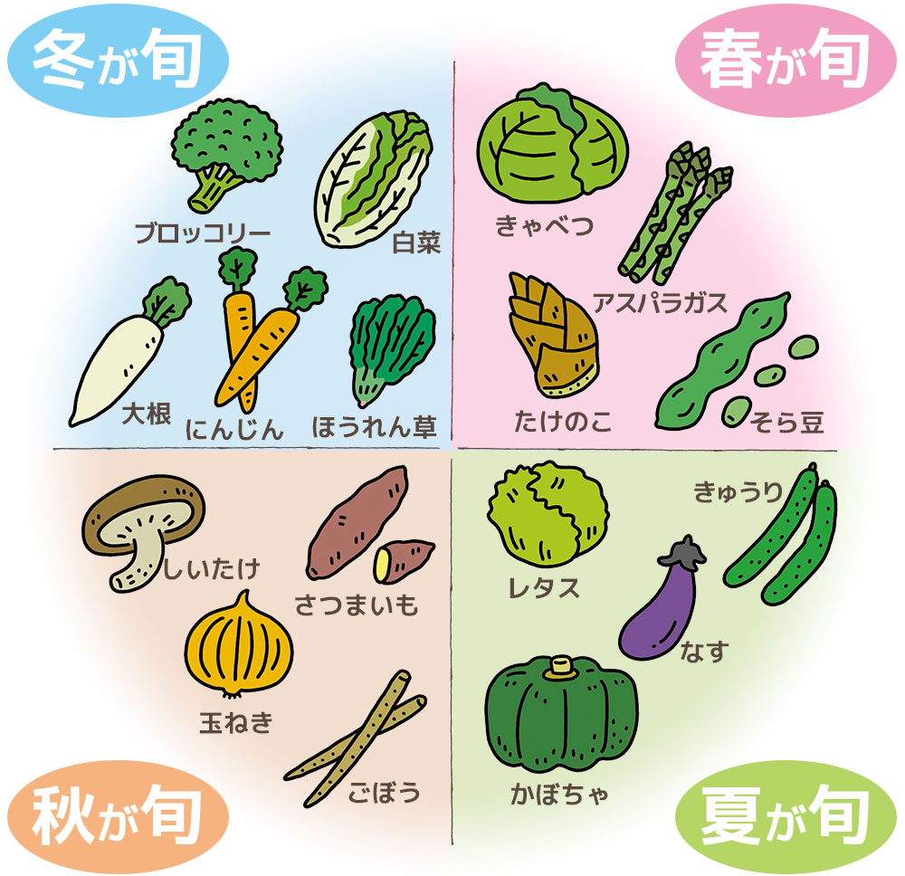 旬とは何か？栄養価と旨味が劇的に変わる科学的理由と四季の味覚