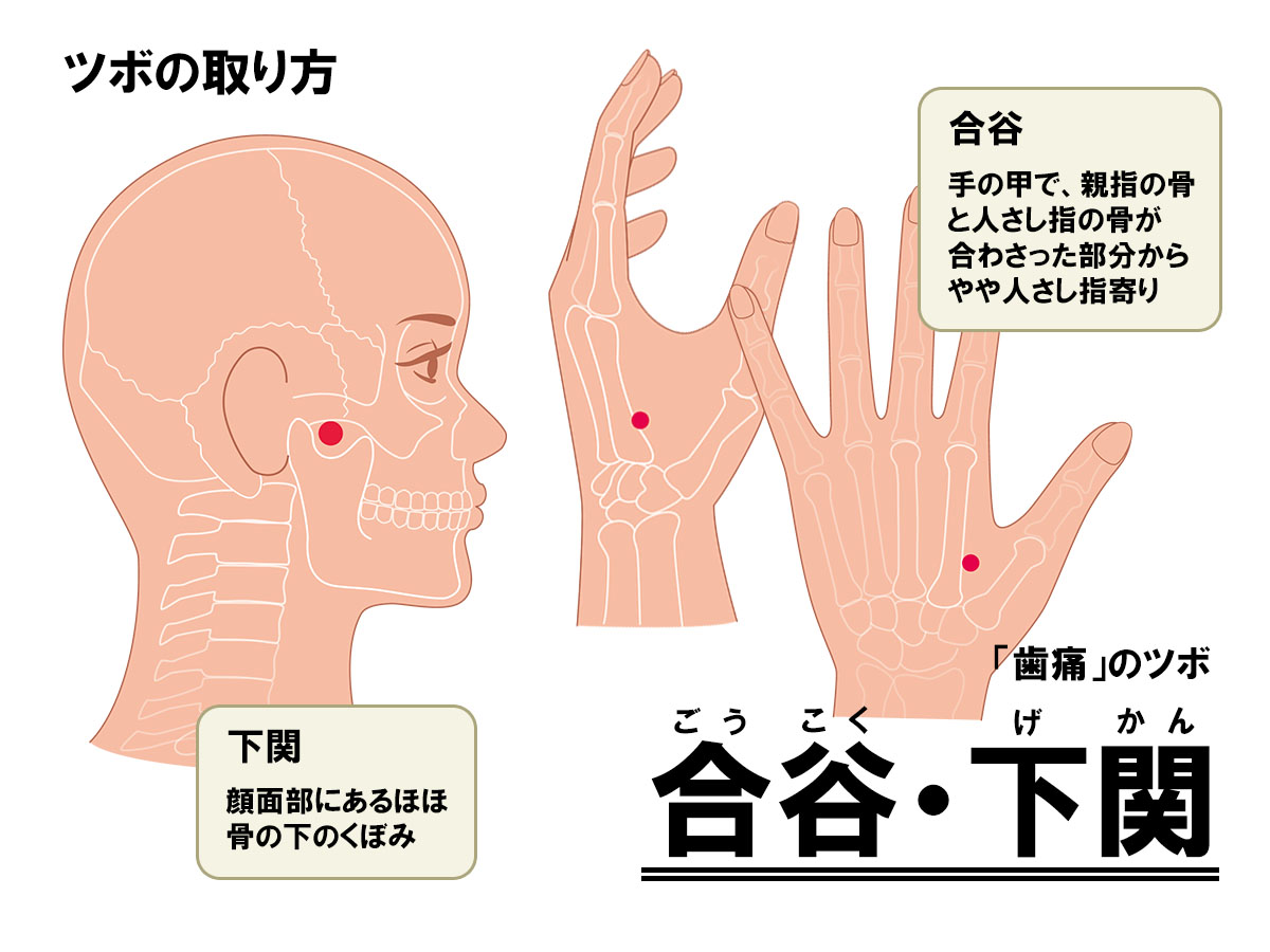 歯が痛い時のツボ決定版！即効で和らげる押し方と夜間応急処置