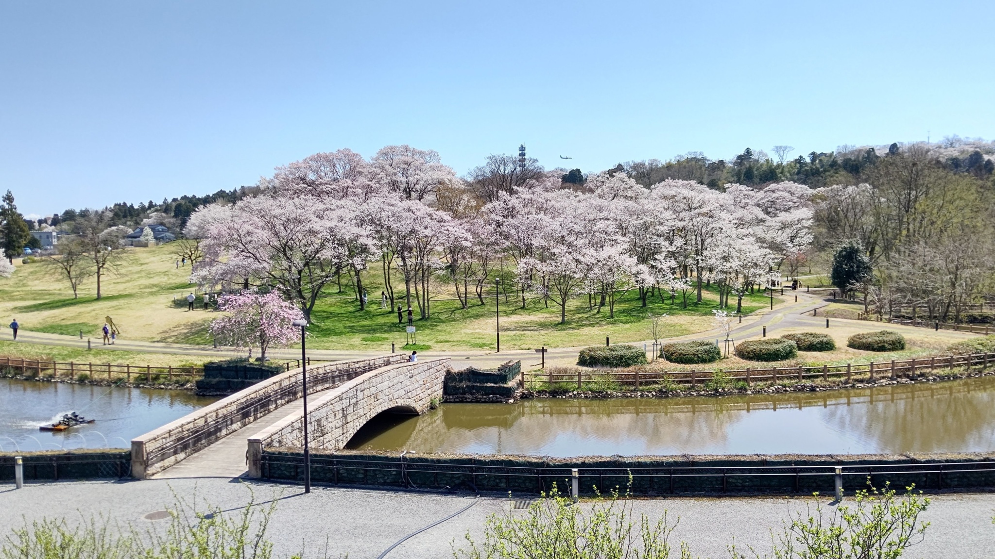 呉羽山公園都市緑化植物園の絶景と四季！立山連峰・桜の見頃攻略法