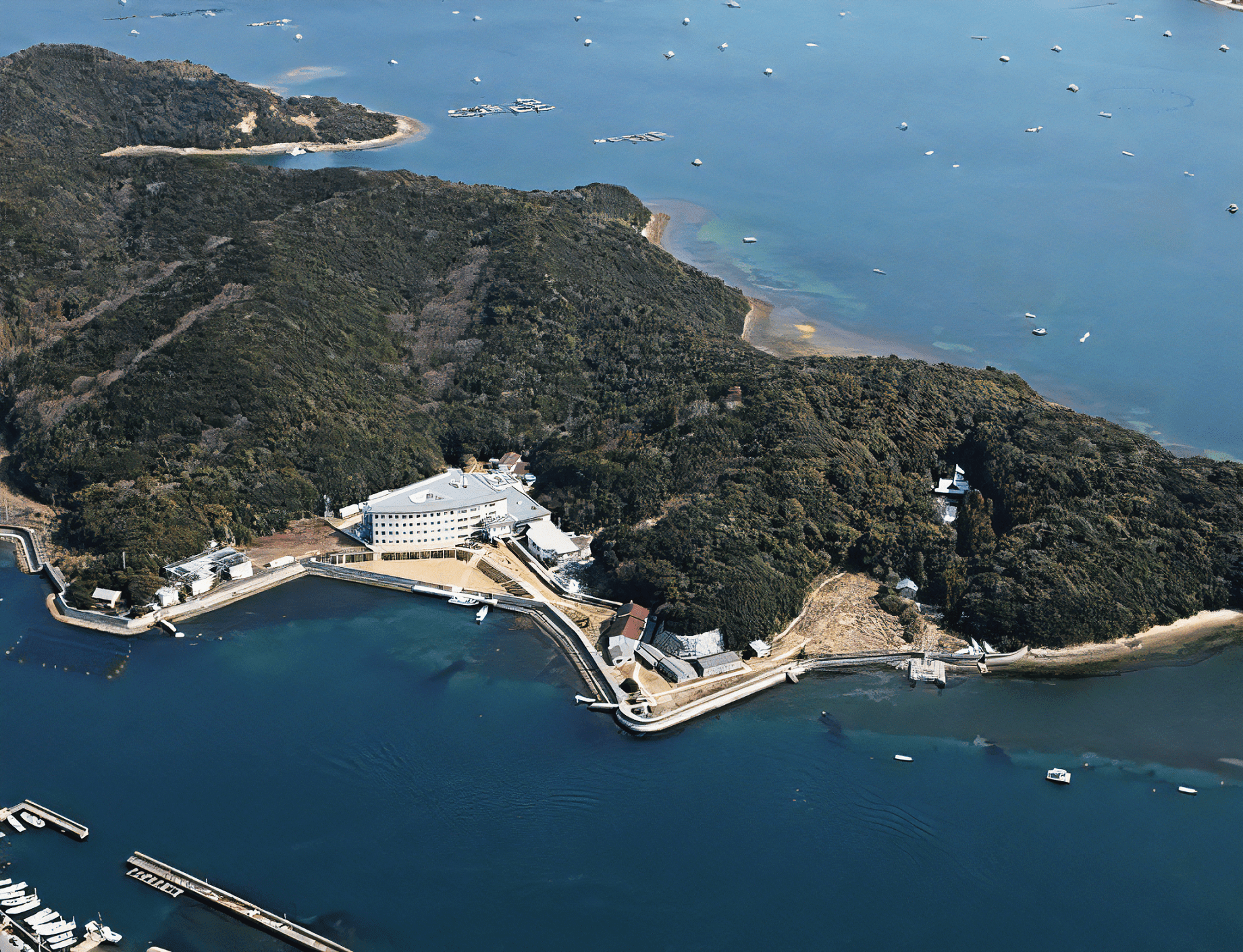 鳴門シーガル病院の評判・口コミ検証｜精神科外来と入院費用の実態
