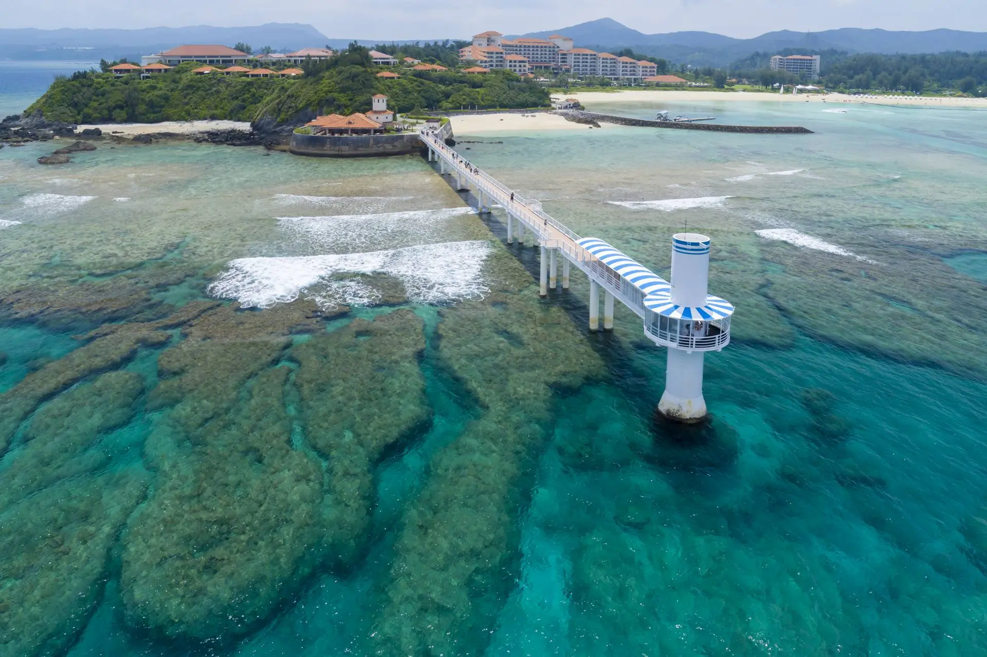 ブセナ海中公園2026完全攻略！割引料金や混雑・雨の日の真相