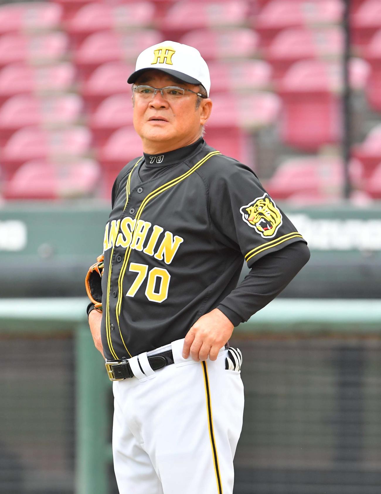 高代コーチの現在と退任の真相とは？Wbc名参謀が遺した伝説を徹底解説