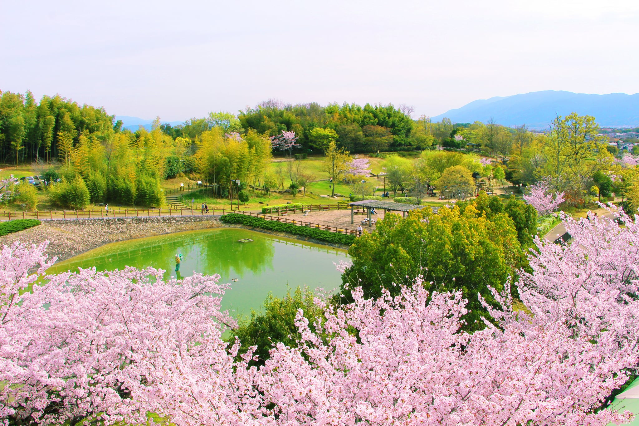 奈良・広陵町の竹取公園が子連れに大人気！無料の遊具＆最新ガイド