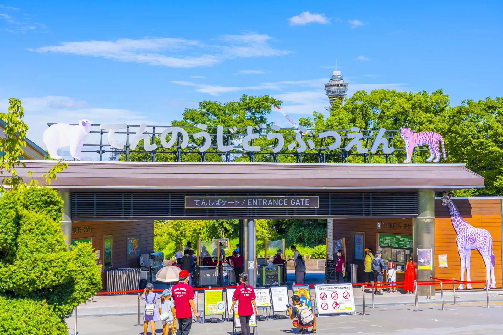 天王寺動物園2026最新！リニューアルの真相と混雑回避法を完全解説