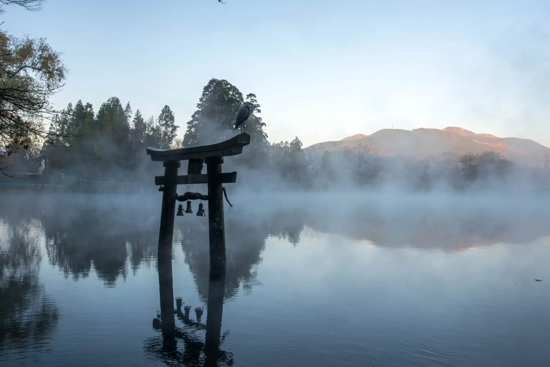 由布院・金鱗湖の朝霧はなぜ立ち上る？見頃の時間帯と散策ガイド