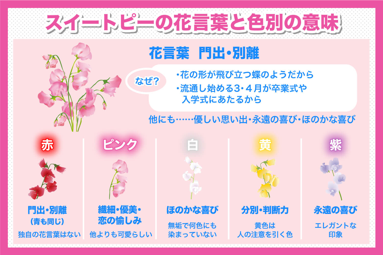 赤いスイートピーの花言葉に「怖い意味」はある？名曲誕生の衝撃真相と注意点