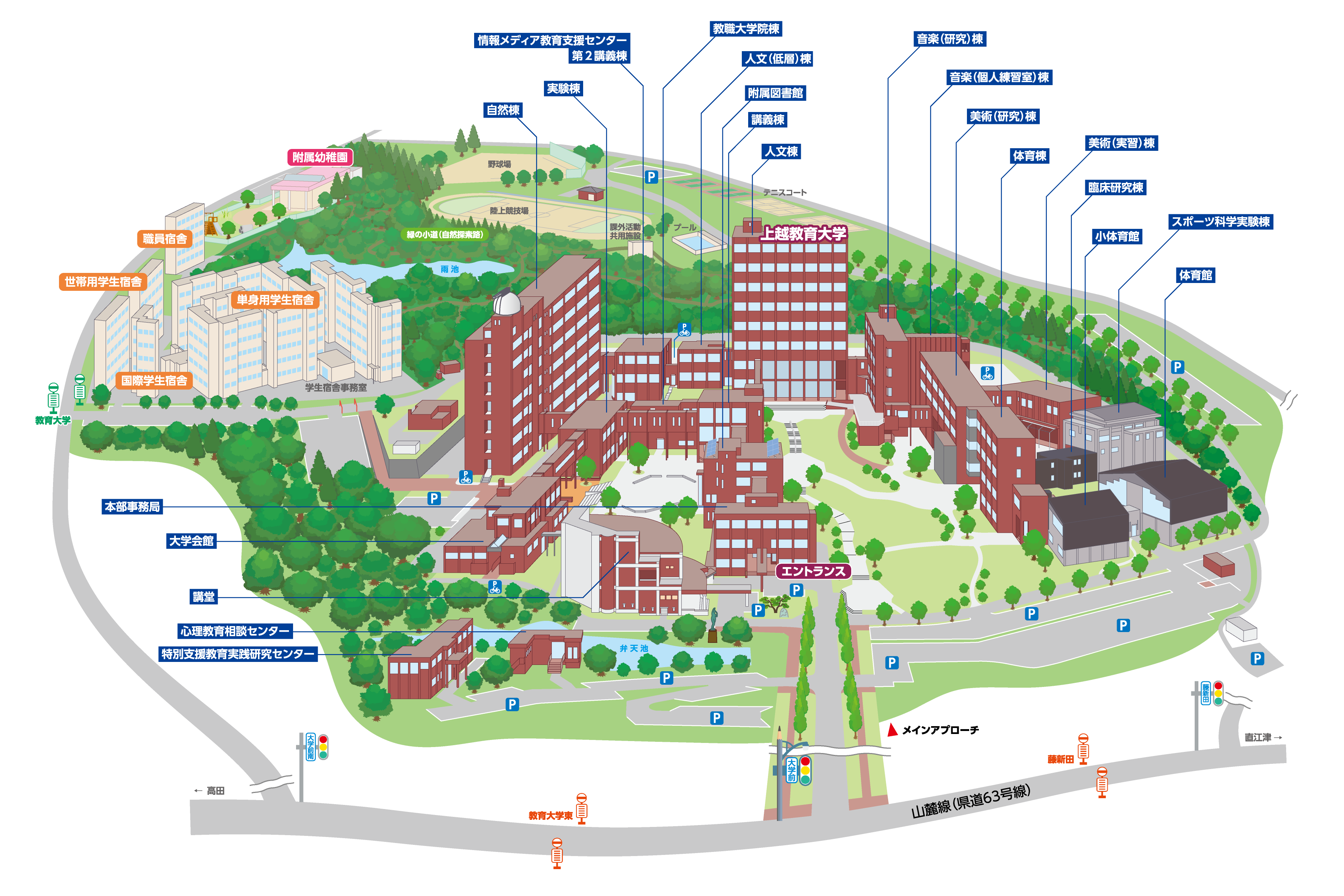 上越教育大学はやばい？偏差値や評判と教採合格率の真実【2026】