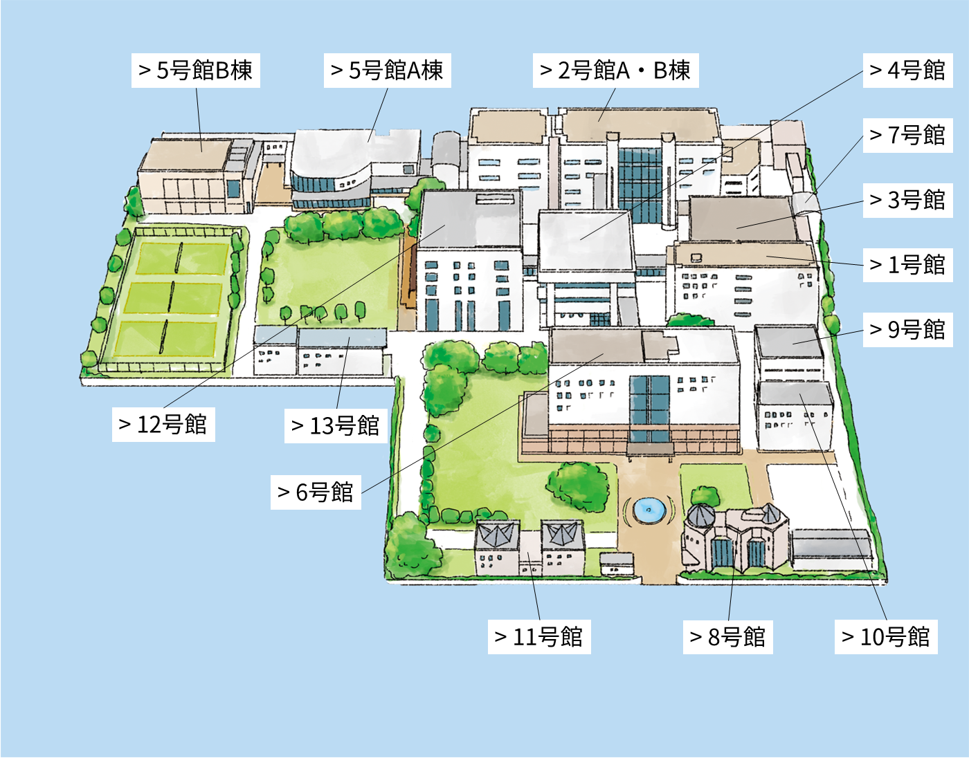 女子栄養大学坂戸キャンパスの評判と実態！共学化の真相と学部アクセスまとめ