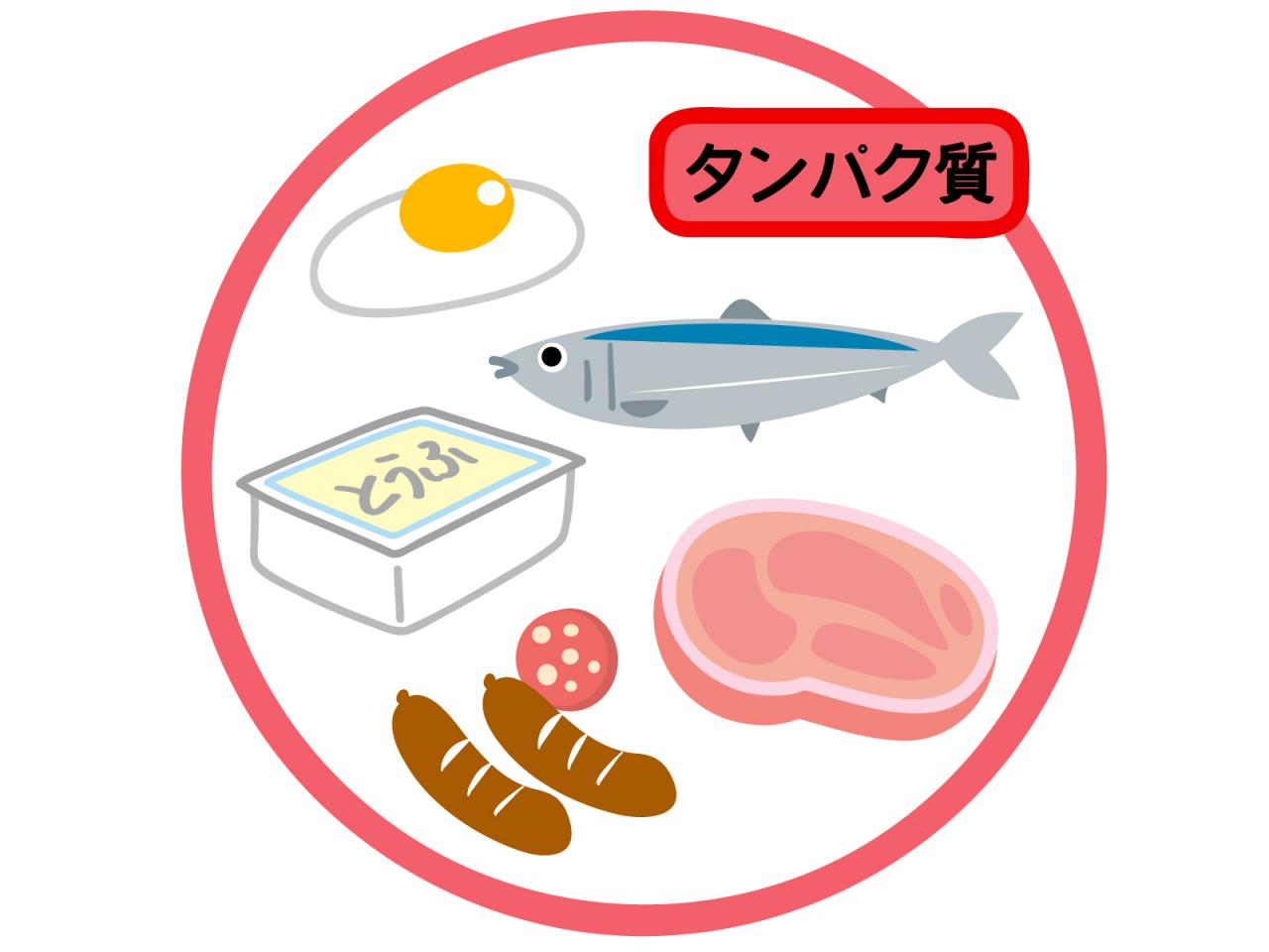 タンパク質過剰摂取の落とし穴！プロテイン飲み過ぎの初期症状とリスク