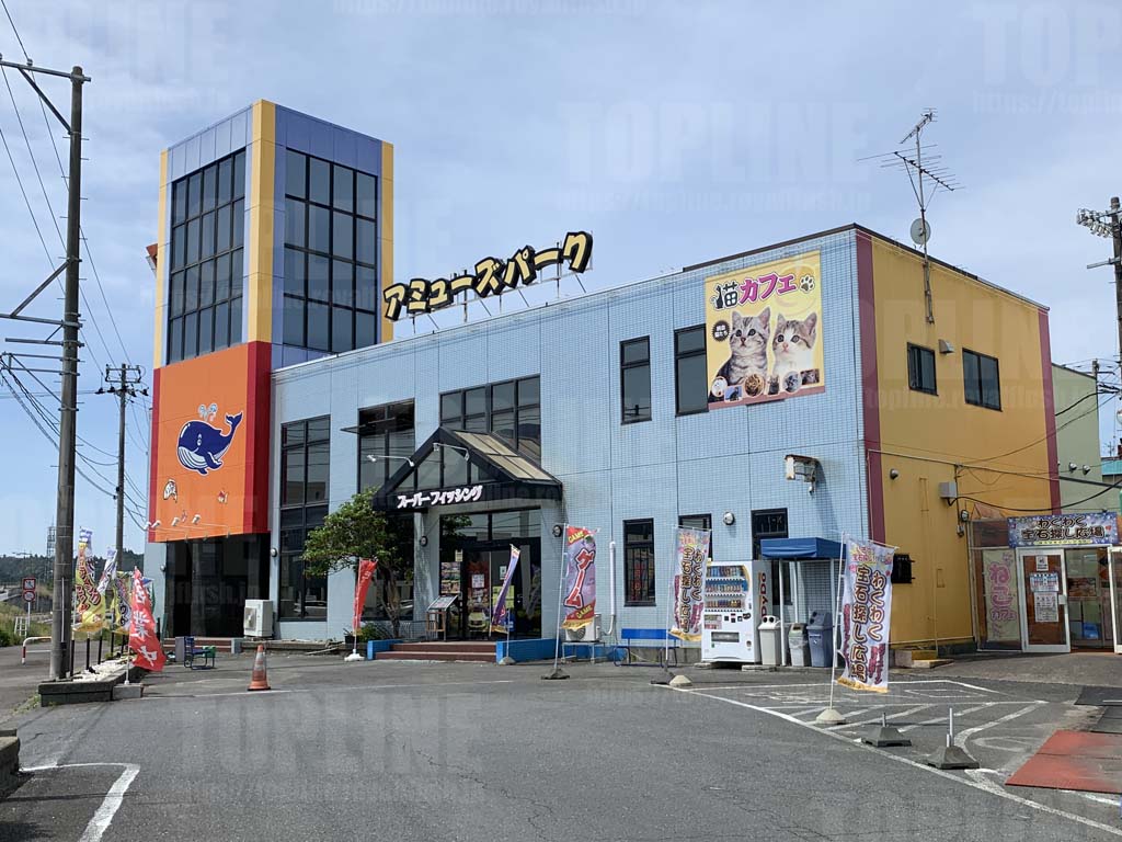アミューズパークいわき神谷店を徹底解剖！料金・釣り堀・混雑の全貌