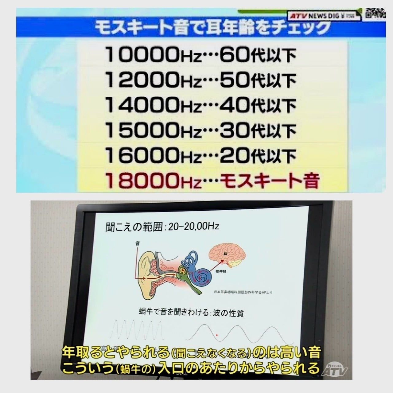なぜ大人が？モスキート音が聞こえる理由と耳年齢やストレスの真相