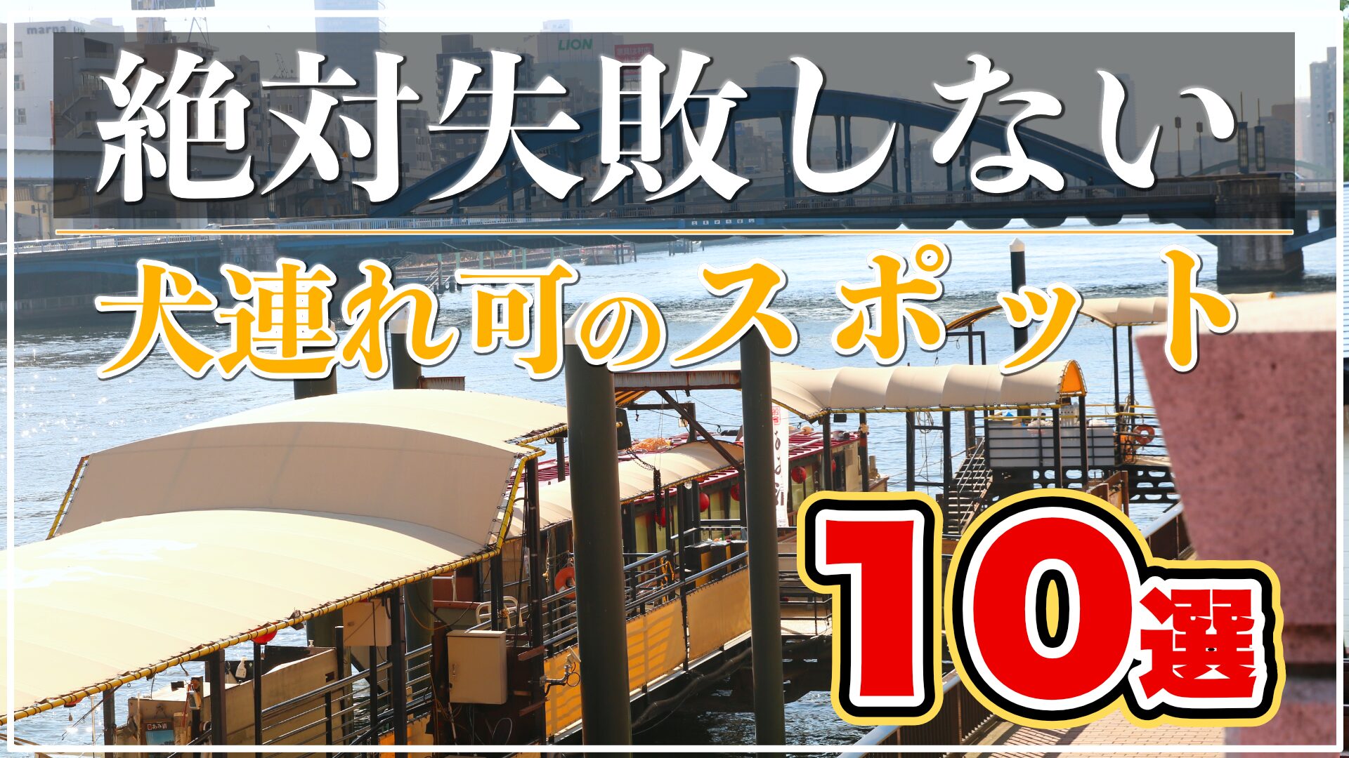 犬とお出かけ関東2026！雨の日・穴場ドッグランから最新宿まで徹底検証