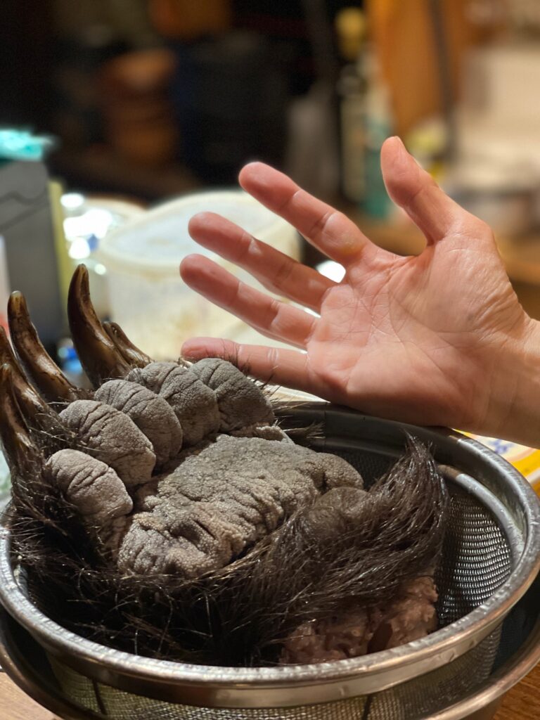 幻の珍味「熊の手」はどんな味？超高額な値段相場と下処理の真相を徹底解説