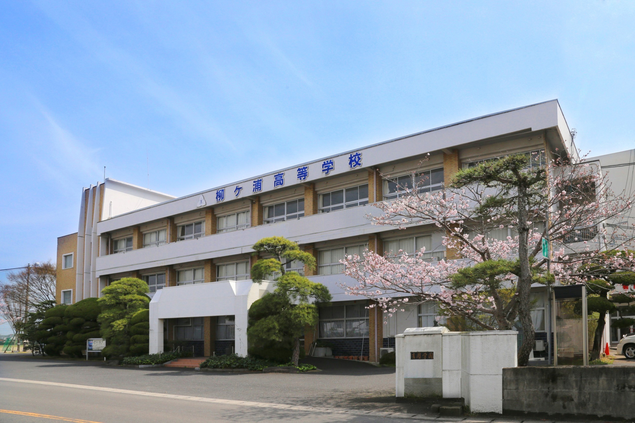 柳ヶ浦高校のリアルな評判とは？甲子園と看護科の実績から徹底検証