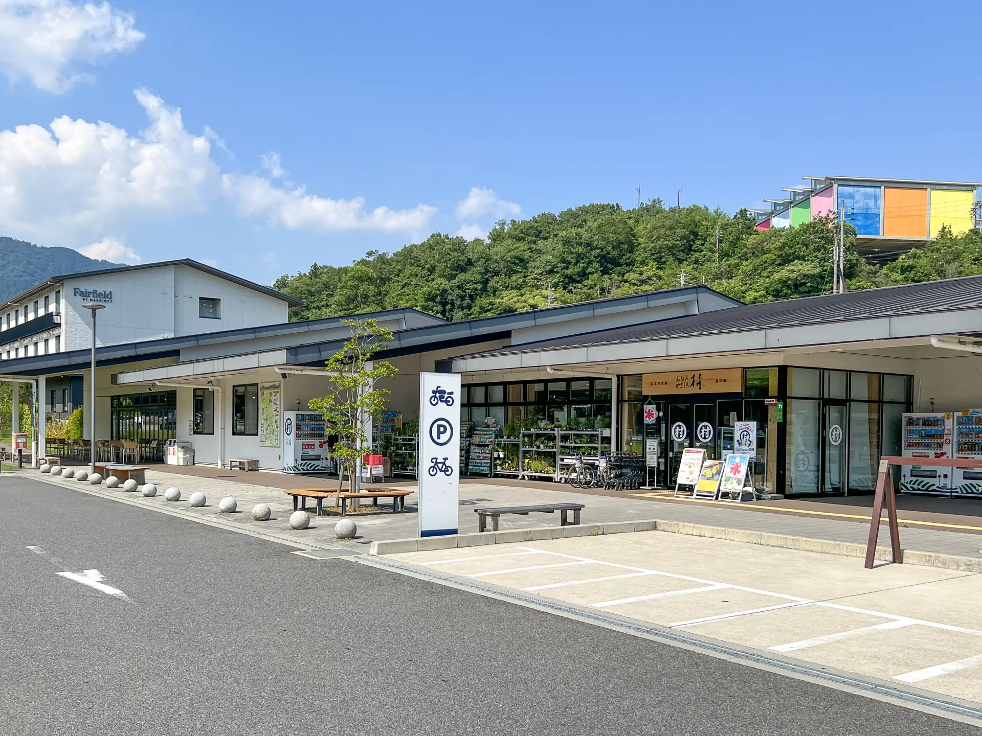 京都唯一の村に大行列！南山城村の道の駅が放つ極上抹茶と話題の全貌