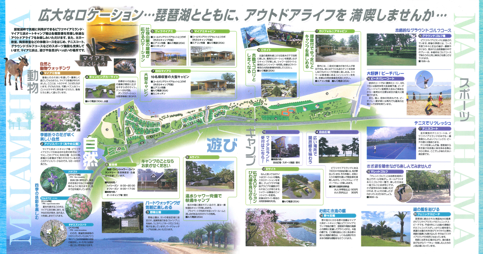 琵琶湖畔の聖地マイアミ浜オートキャンプ場を徹底解剖【2026年最新】