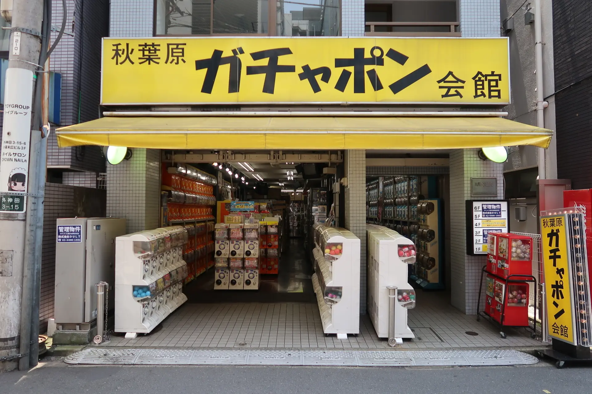 聖地・秋葉原ガチャポン会館の真価！500台の熱気と混雑回避法