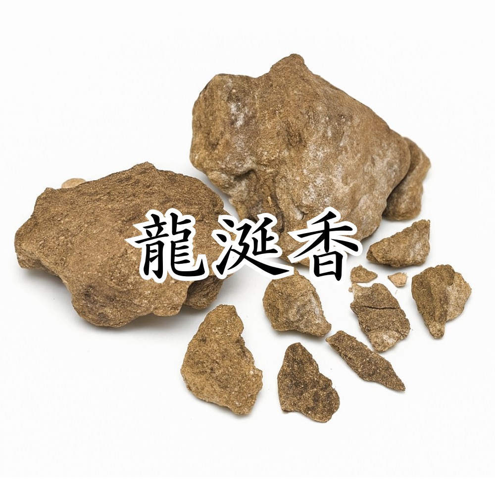 海岸の金塊「龍涎香」の正体とは？一獲千金の相場と見分け方を徹底解剖