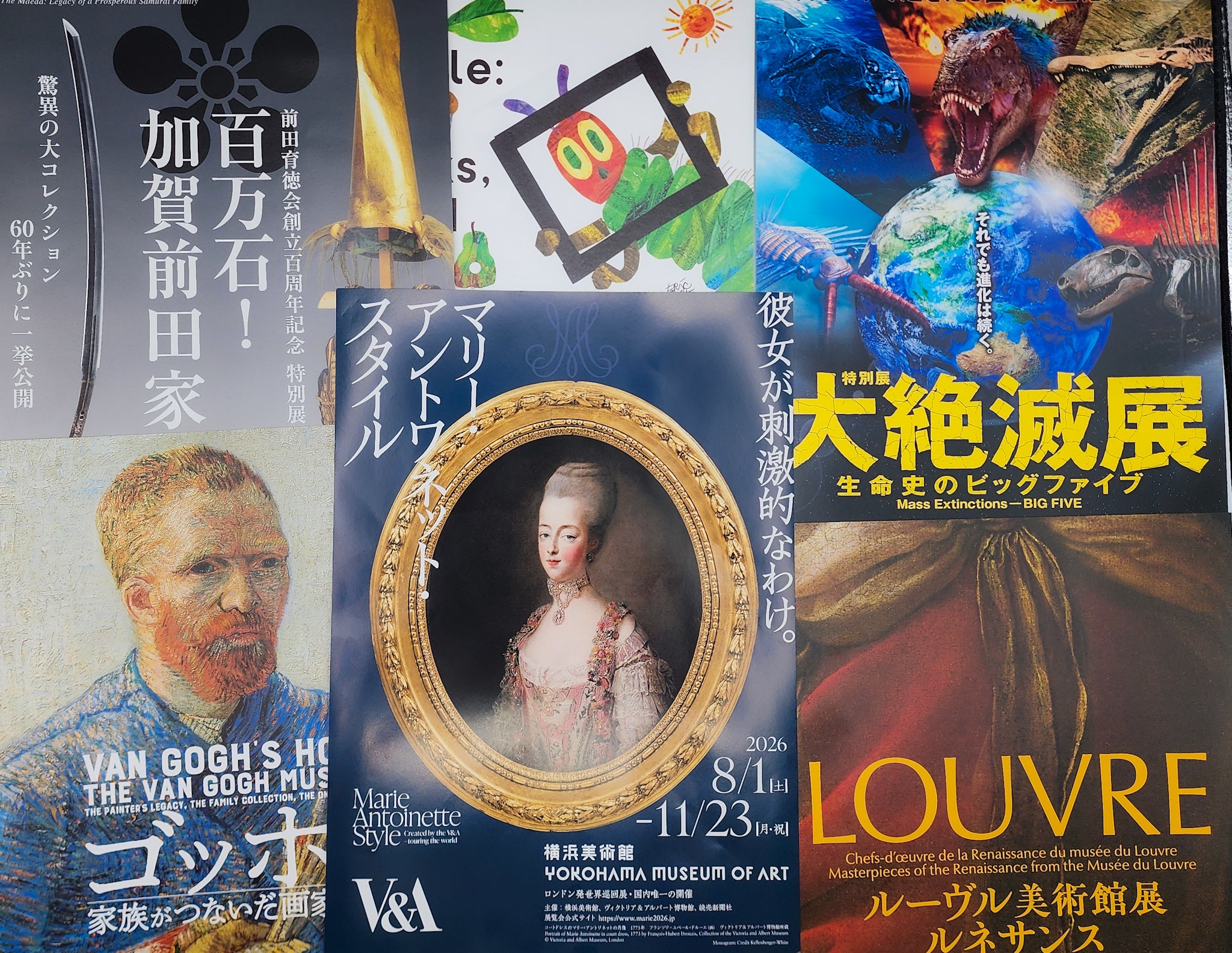 【2026最新】東京の展覧会おすすめ10選！混雑回避と見どころ解説