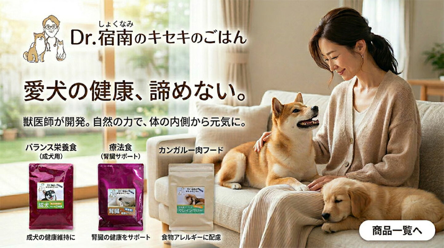 愛情ごはん療法食の評判は本物か？食べない愛犬を救う真相検証