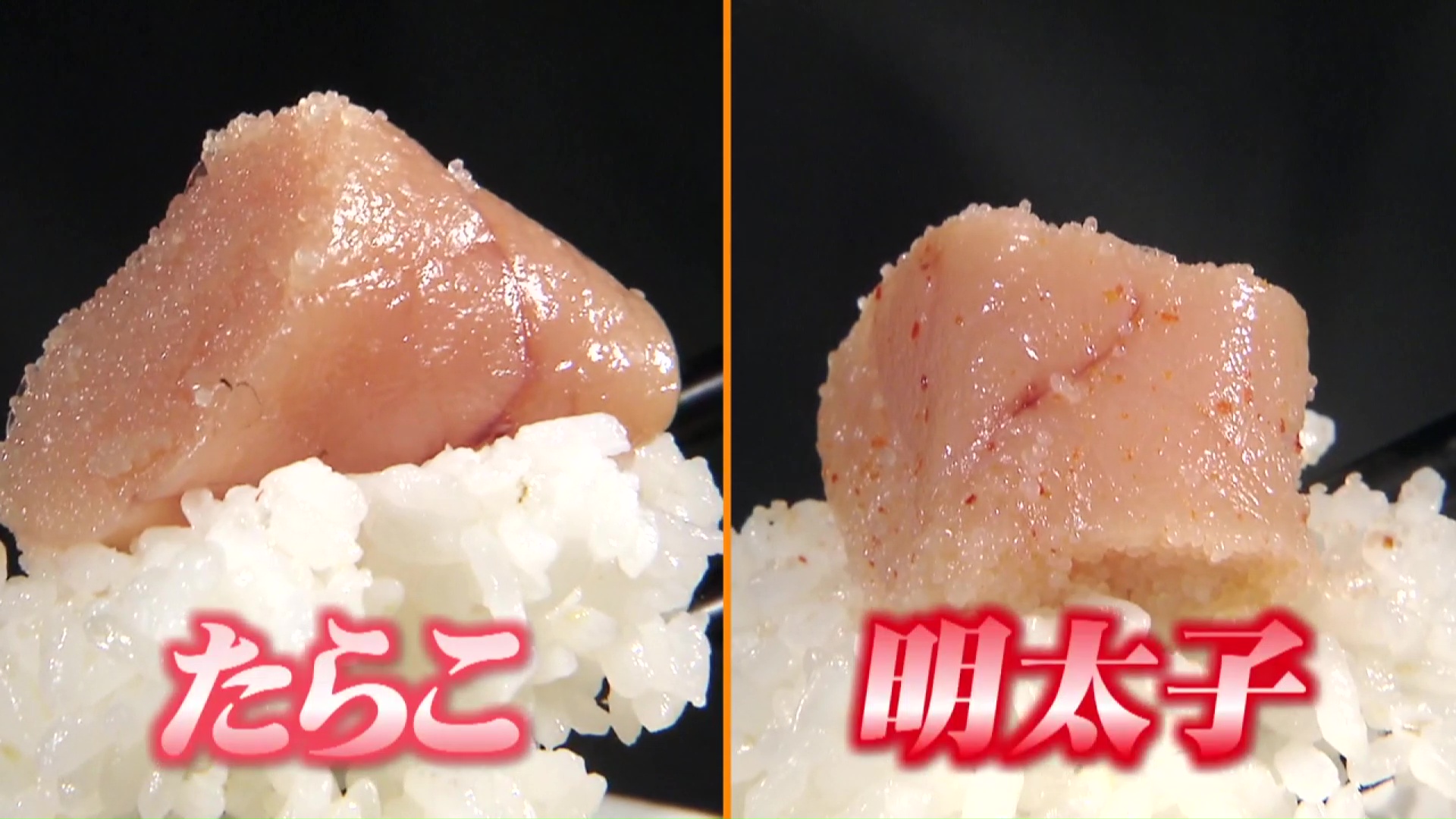 たらこと明太子の違いを徹底検証！原材料から発祥の歴史まで完全解剖