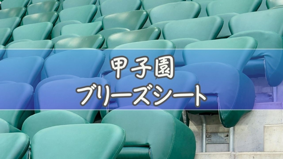 【写真で検証】甲子園ブリーズシートの見え方は？雨に濡れない神席の真相