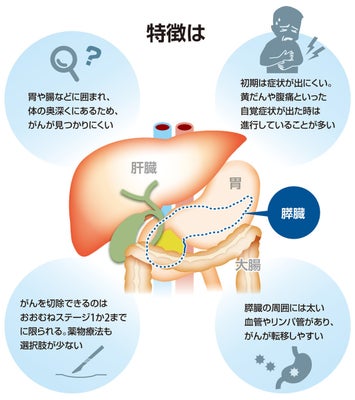 【インスタ画像】 消化 試合 と は 気になる噂と真相 #833