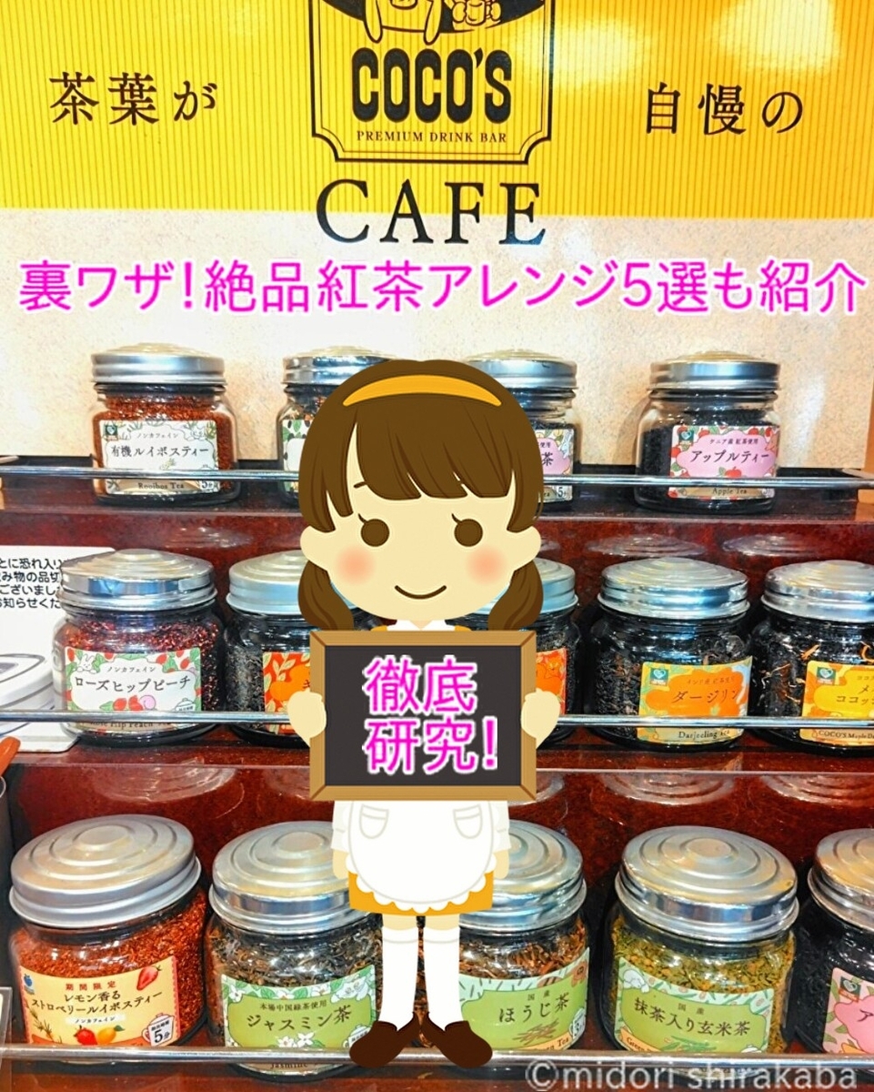 【2026最新】ココスのドリンクバー完全攻略！単品注文の裏ワザと全料金まとめ