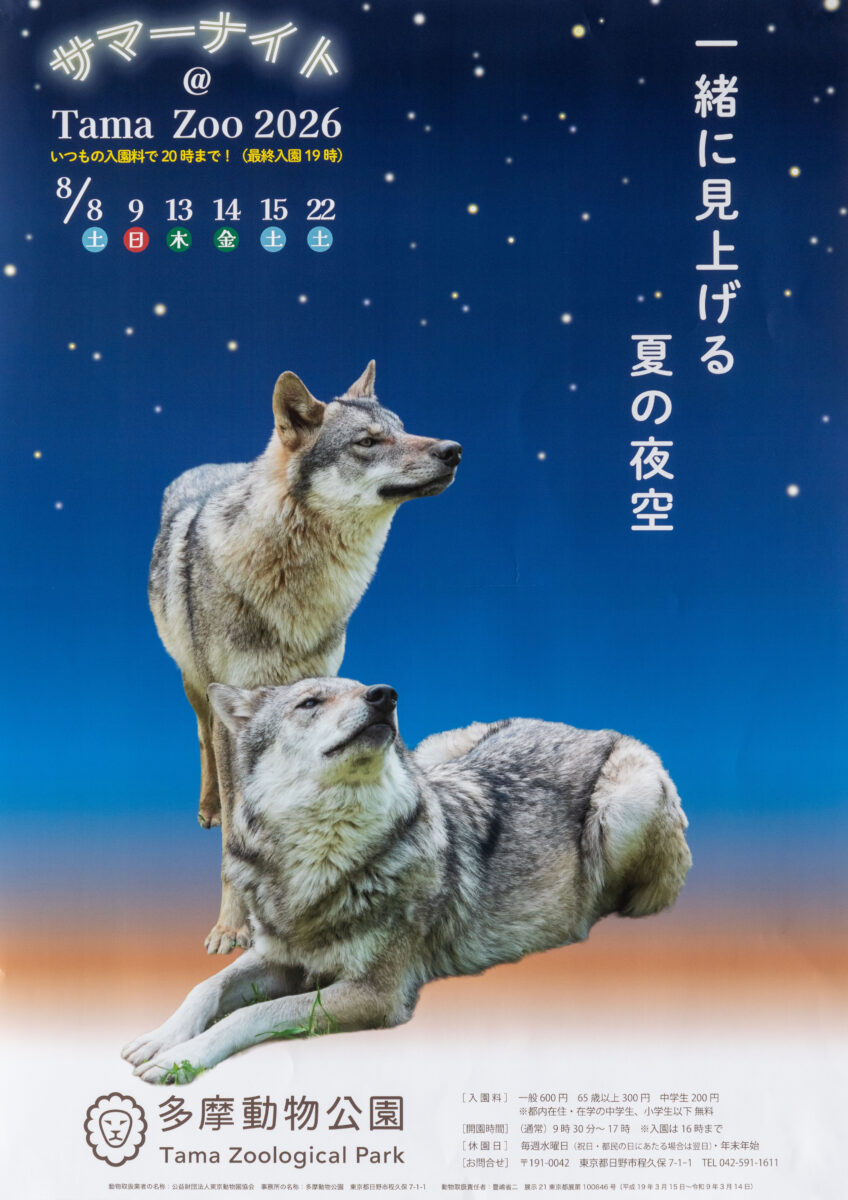 多摩動物公園ナイトズー2026徹底ガイド！混雑回避と夜の生態観察術