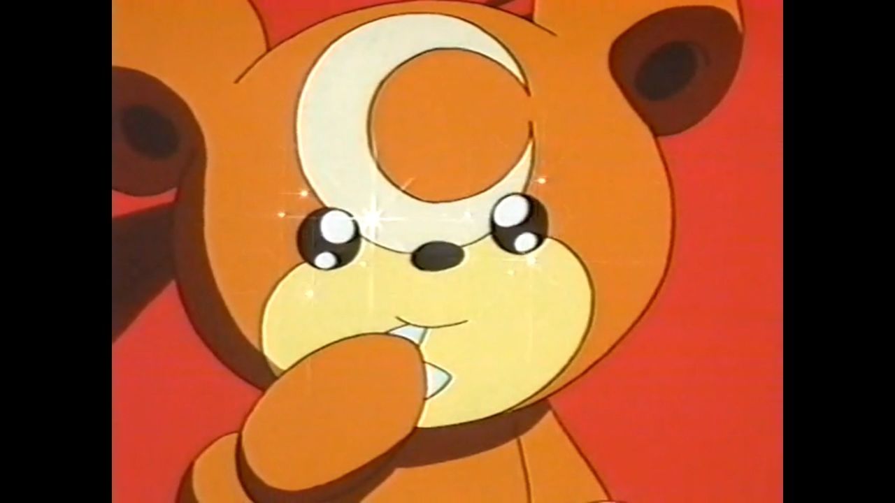 ヒメグマのひみつ徹底解明！手のひらの蜜と頭の三日月に隠された真実