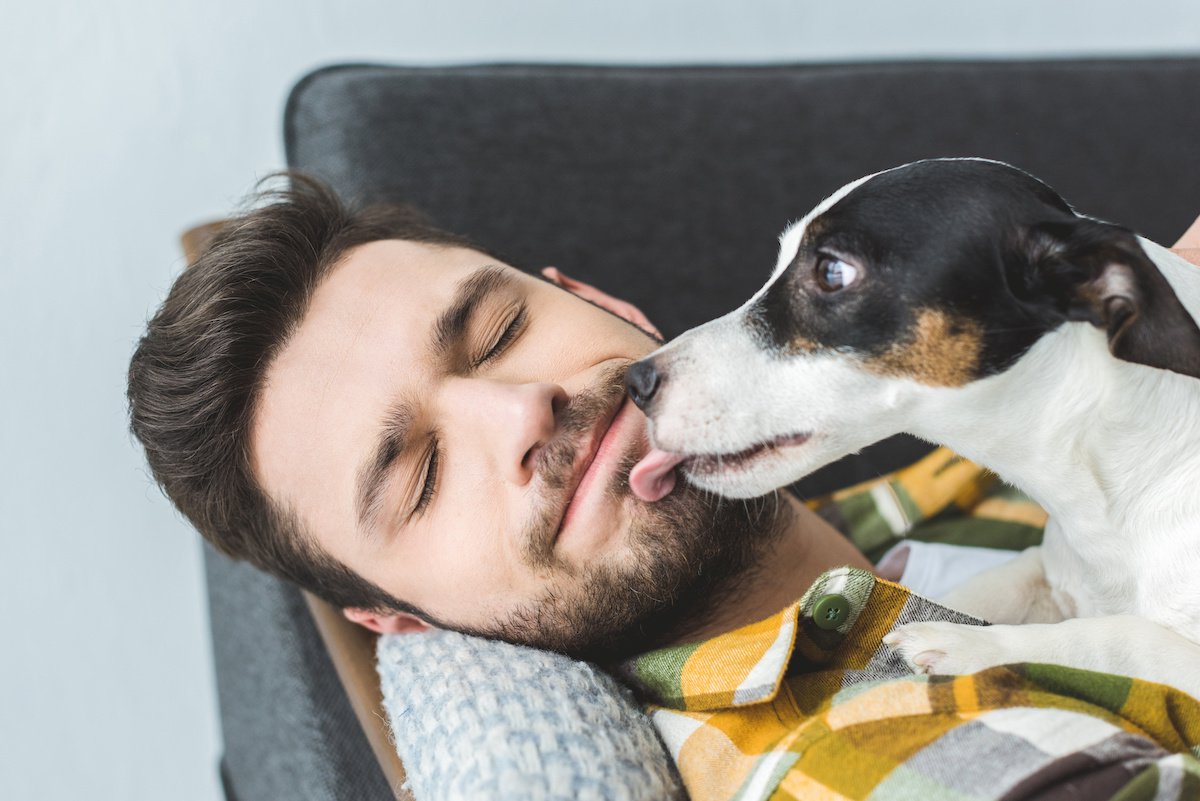 犬のペロペロが止まらない理由とは？病気のサインと今すぐできる対処法