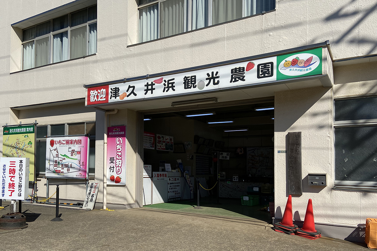 津久井浜観光農園の予約や混雑は？2026年最新の料金と評判