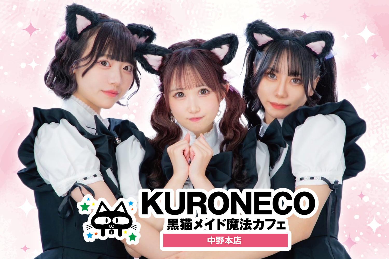 中野の黒猫がなぜ話題？噂の真相と2026年最新スポット徹底解剖