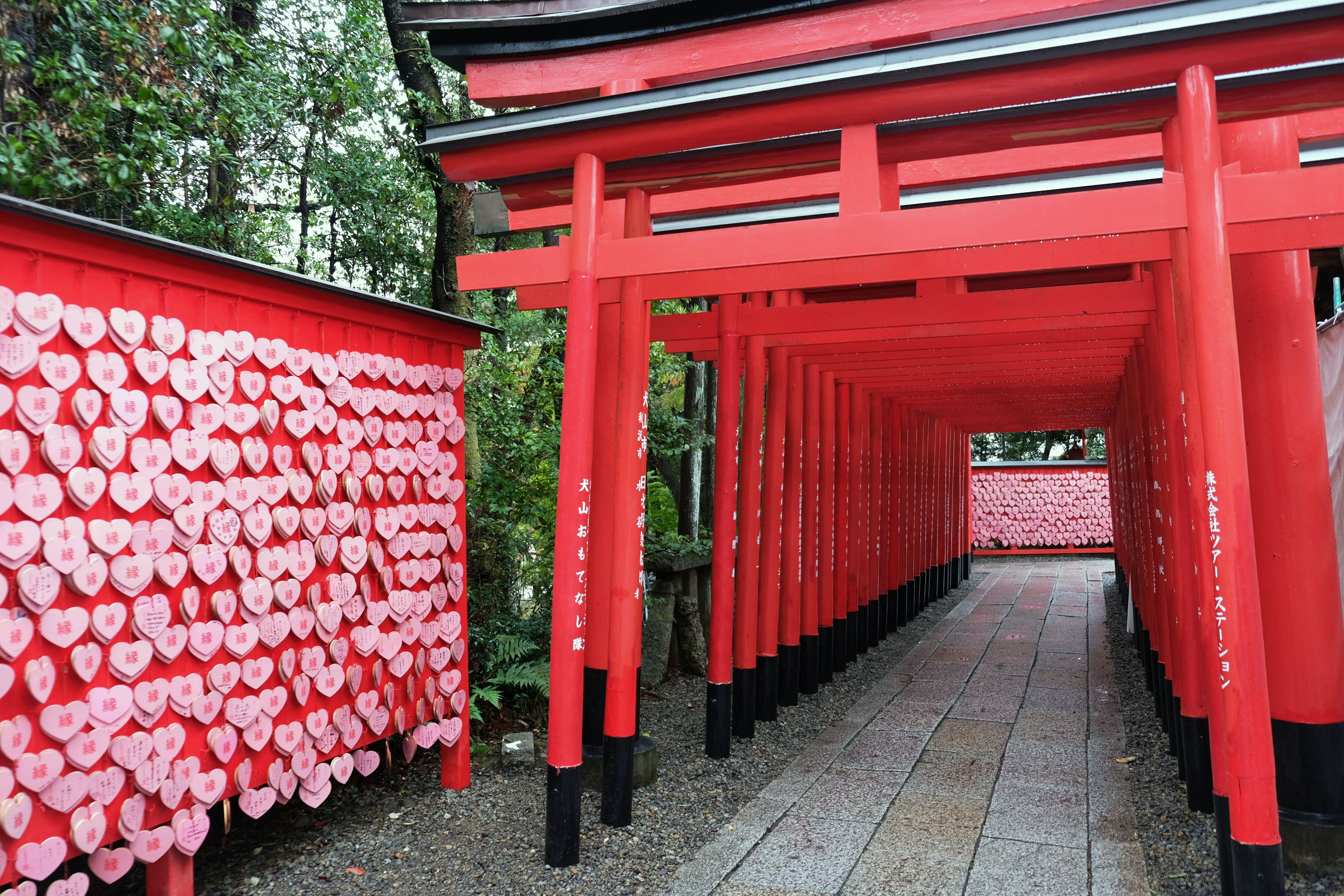 三光稲荷神社の人気なぜ？ハート絵馬と銭洗池の真相＆2026完全巡礼記