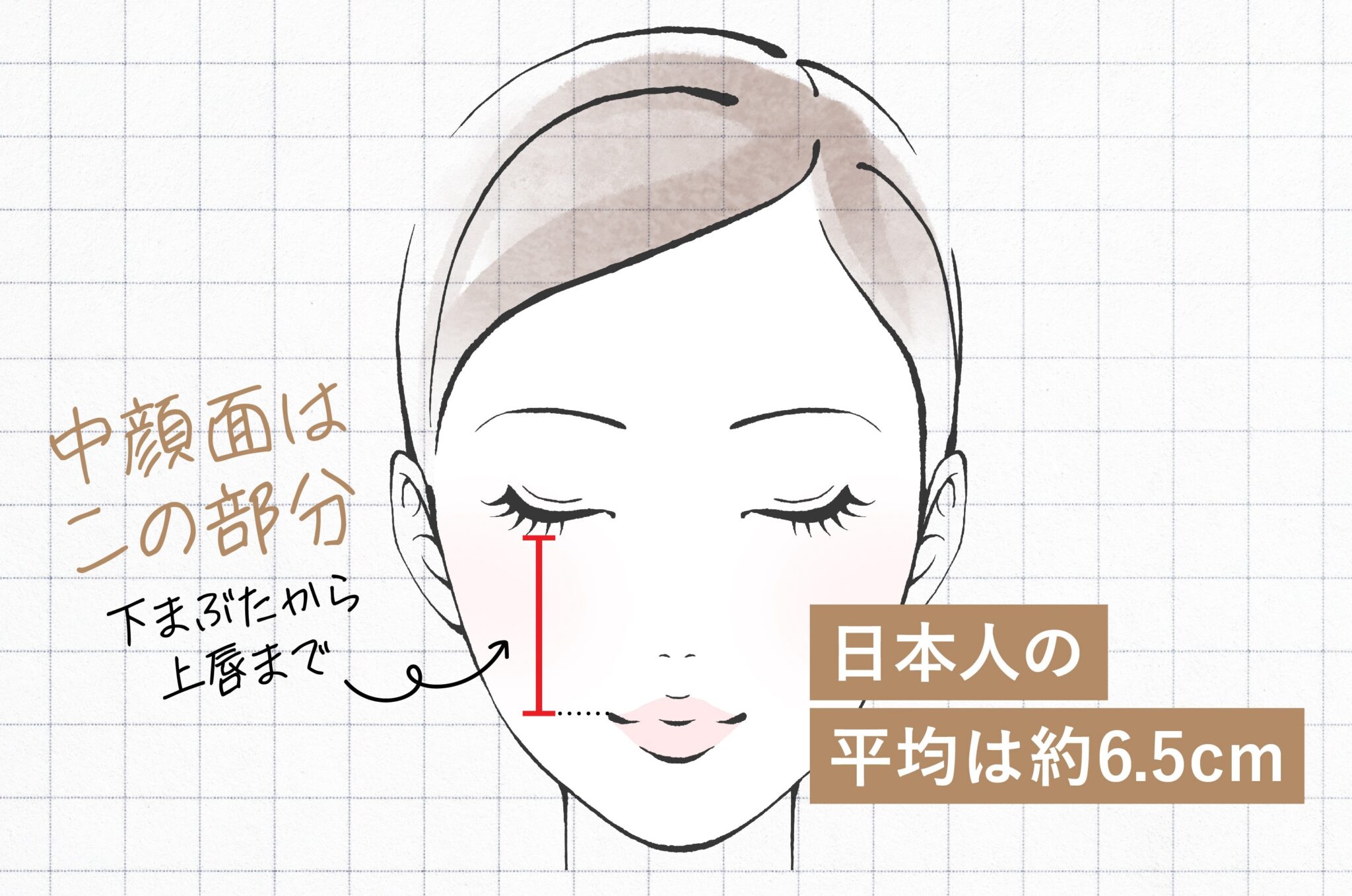 中顔面の長さの平均は何Cm？黄金比率の基準値と劇的小顔見せ術