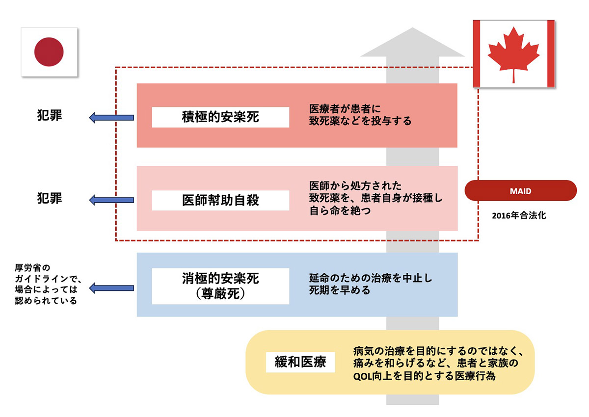 日本の安楽死制度はなぜ進まない？合法化の海外実態と2026年の議論