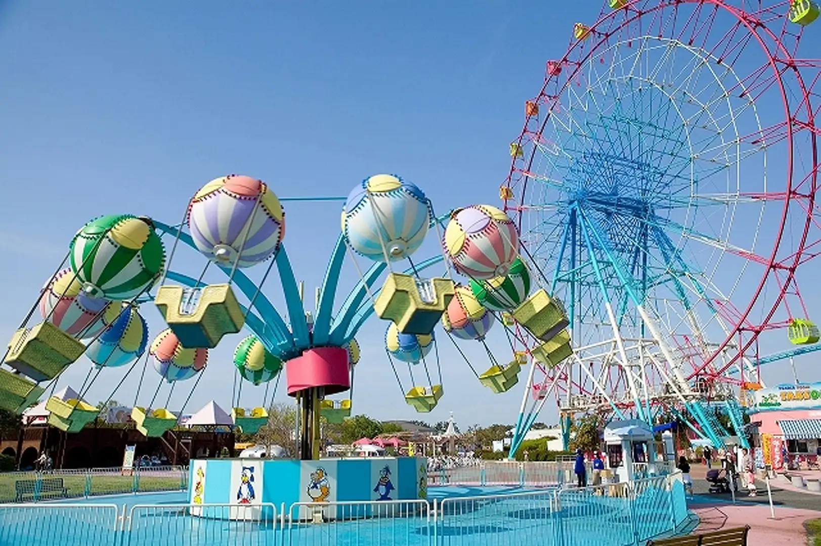 福岡の海浜公園完全比較！海の中道とももちの絶景と混雑回避術