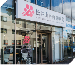 松井動物病院の評判と口コミ総点検！診療時間や料金体系を徹底解説