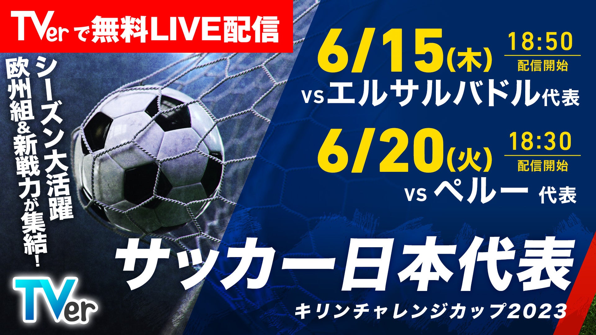 サッカー日本代表ライブ中継を無料で見る方法と地上波放送消滅の真相