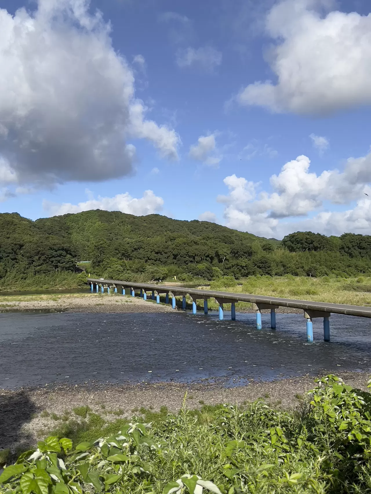 川越・今成橋の現在と架け替え計画の全貌｜冠水・渋滞から噂の真相まで徹底解剖
