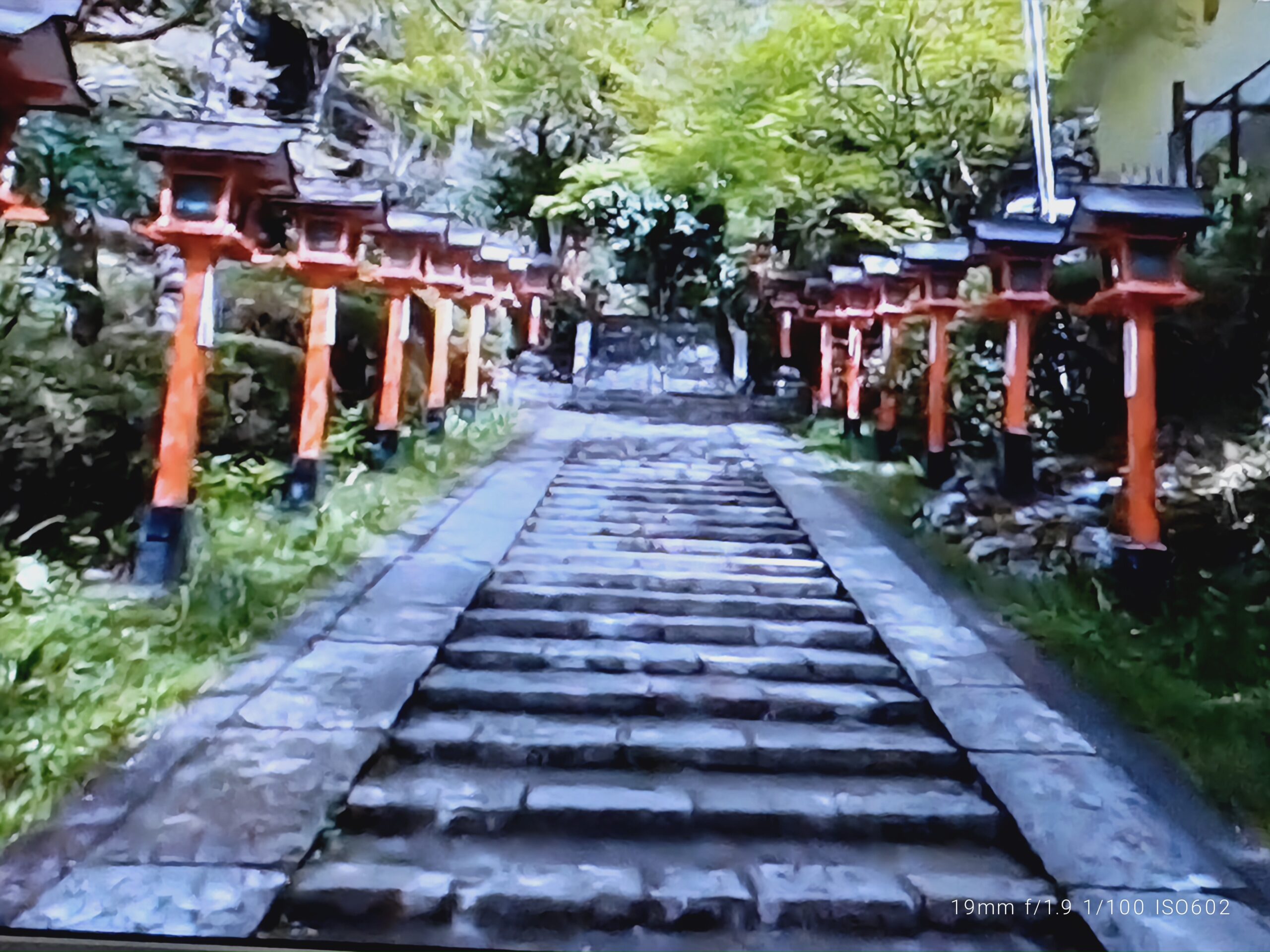 鞍馬山が「やばい」と噂される真相！最強霊場と心霊説の正体を検証