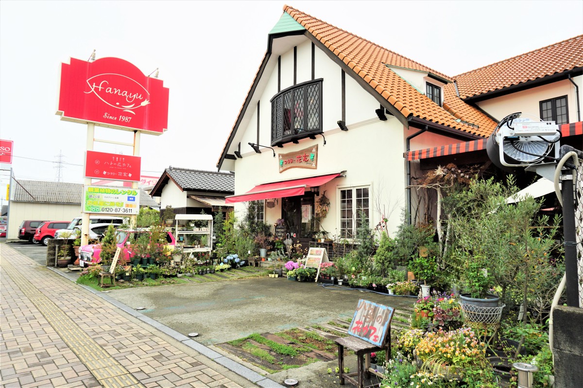 孤独な都市を緑でつなぐ新潮流：なぜ今、2026年の日本で「花友」の輪が爆発的に広がっているのか