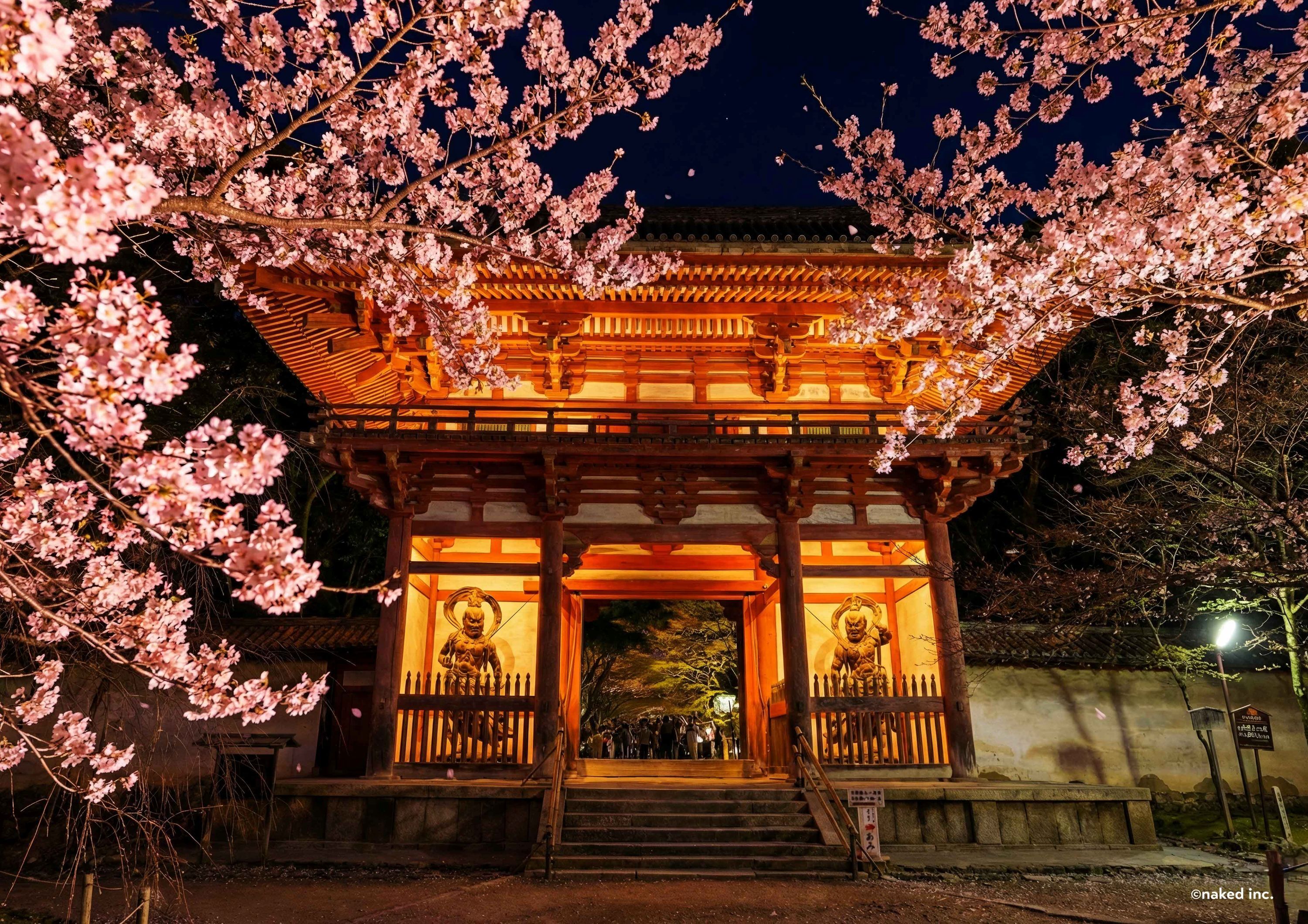 醍醐寺ライトアップ2026！水鏡の弁天堂と混雑回避の穴場完全解説