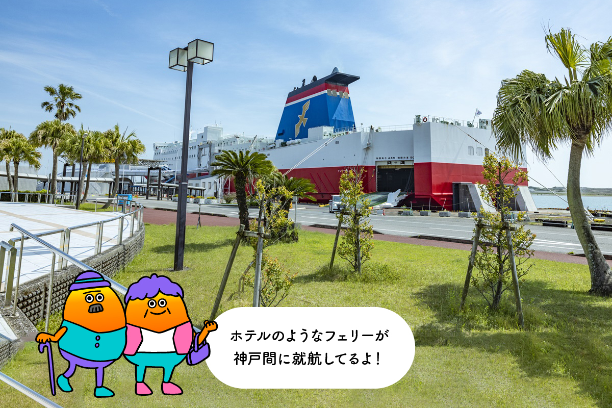 宮崎港フェリーターミナル完全攻略！新船乗船と駐車場の真相2026